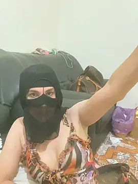 Ashwak_transn Webbikameraesitys