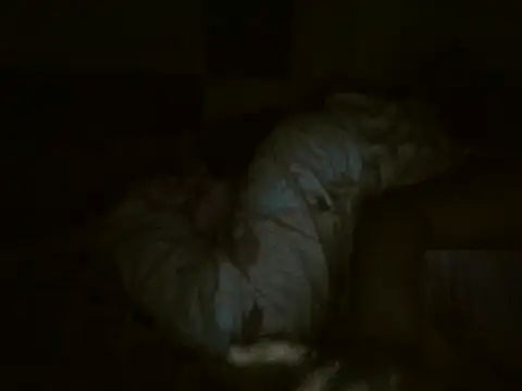 MakeMeCumAhh's Live XXX Chat