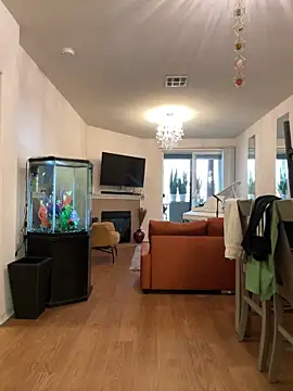 Show modela avgbear na web-kameri