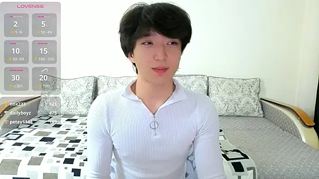 DianInav Show Webcam