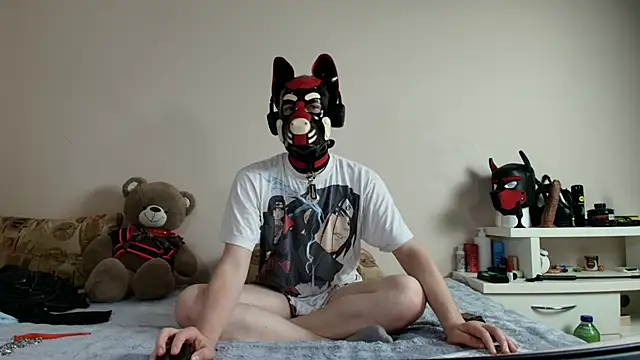 Pokazy przed kamerką – K9_GoodBoy