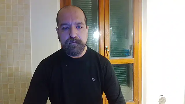 Pokazy przed kamerką – AMIRDIB2025