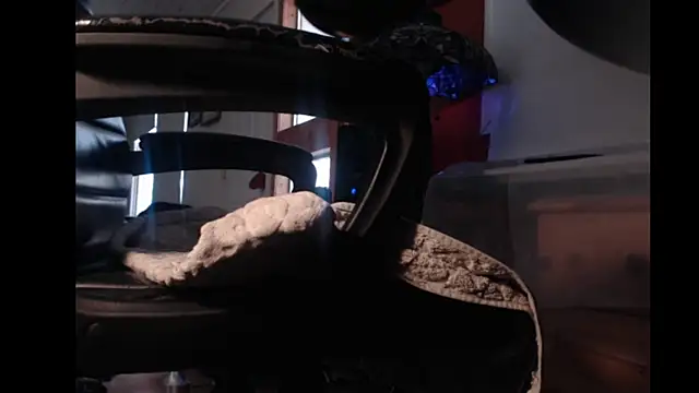 Show Webcam de mybigfathead