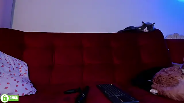 Chatroom XXX en direct de ohpetitemuse