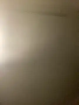 Frosl Live XXX Chat