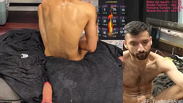 Toronto325 Webcam-Show