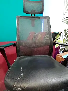 Rayansmith_n Webbikameraesitys