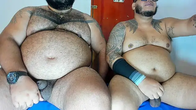 Bearspigdirty Live XXX Chat