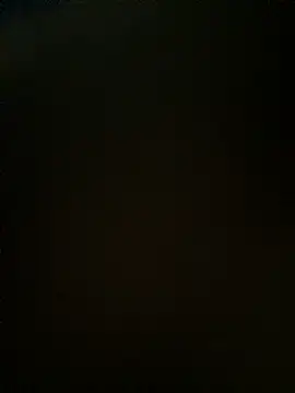 carol406 Chat XXX live
