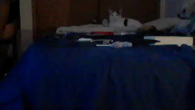 Show de Silencio26 na webcam