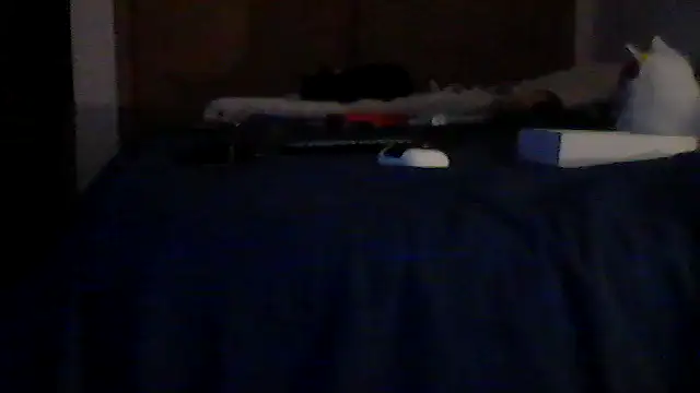 Silencio26 Webcam-Show