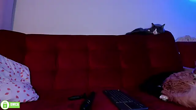Chatroom XXX en direct de ohpetitemuse