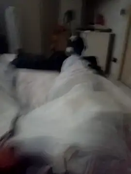 Diam_nd webkamerás műsora