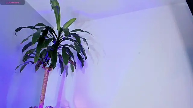 Вебкам-шоу EthanSantori