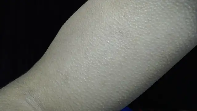 Marck-Pron Webbikameraesitys