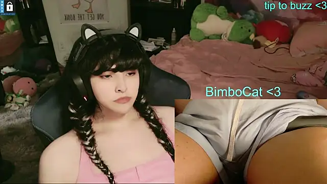 Pertunjukan Kamera Web BimboCat