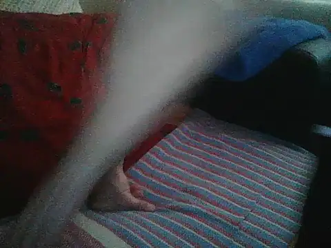 Sexek_ Chat XXX in diretta