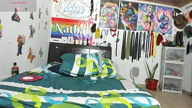 nathannathaniel Webcam-Show
