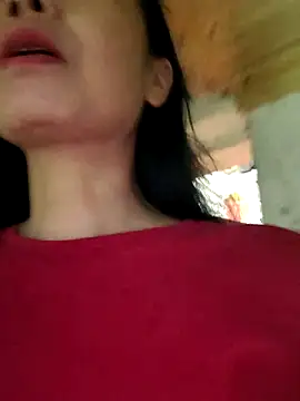 Basanis68n Webbikameraesitys