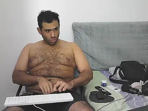 Show de webcam de IronSideBear