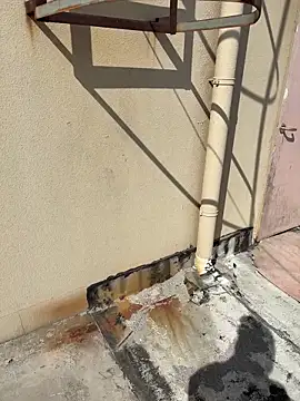 دردشة Aytc9989 الجنسية المباشرة