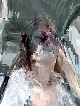 Show Webcam de MariiD