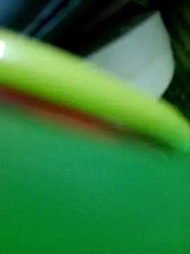 Pertunjukan Kamera Web sapan_sexe