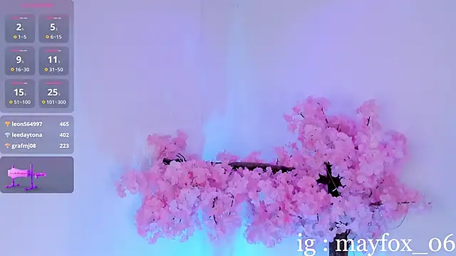 May_Fox_ Show in webcam