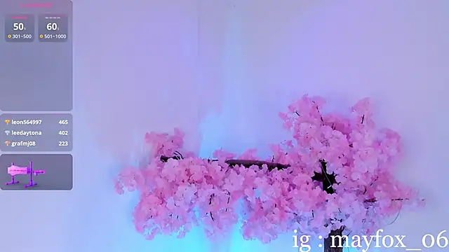 May_Fox_ Show in webcam