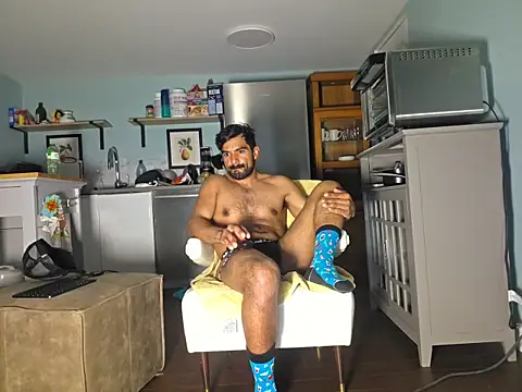Show Webcam de piggylatino