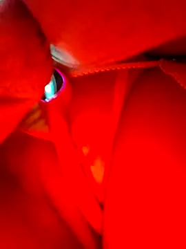 yinyin326 라이브 XXX 채팅