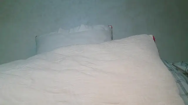 Show de webcam de roccosif696