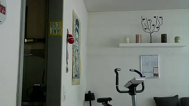 Show Webcam de pimmelmann3