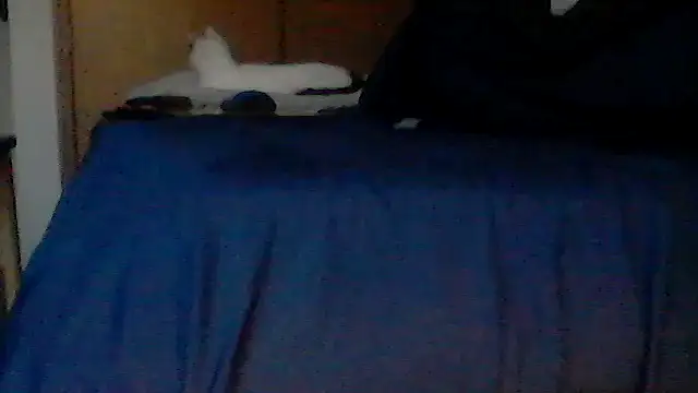 Show Webcam de Silencio26