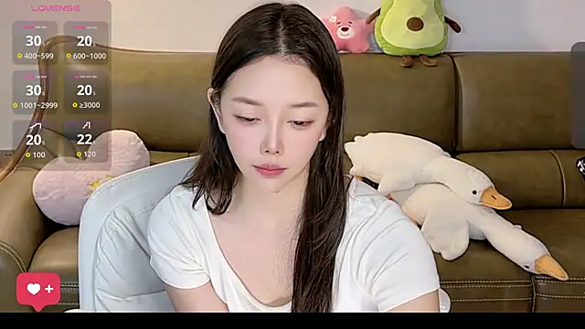 Alin250 Show Webcam