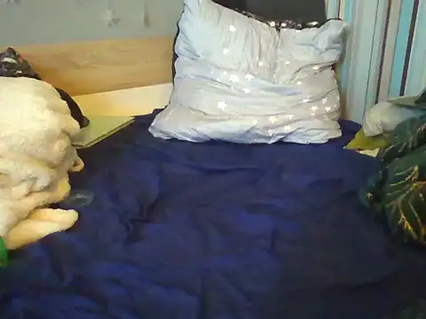 Show de webcam de evilku