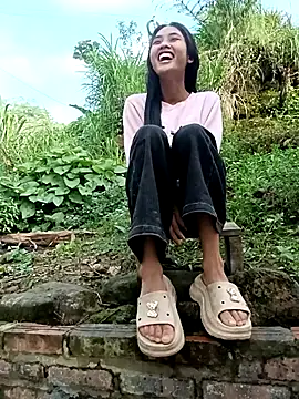 Hoa-tuylip Pertunjukan Webcam