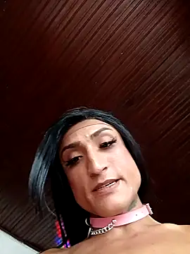 TRANS_COLOMBIA Pertunjukan Webcam