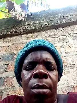 stable_23 Live XXX-Chat