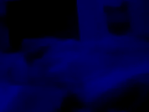 Blkstylion Webcam show