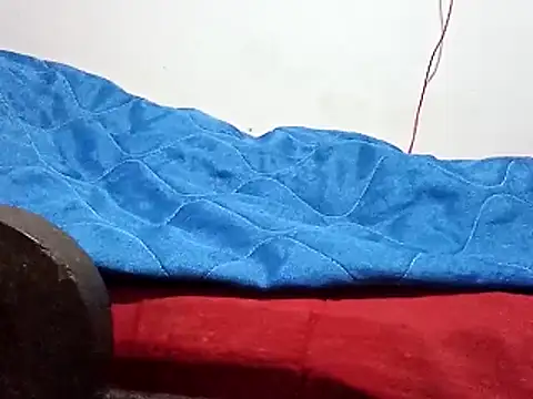 saraborgesn Webbikameraesitys