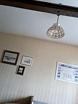 Perv10 webcam show