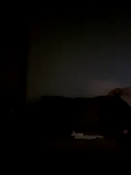 yourMasterisBored Show in webcam