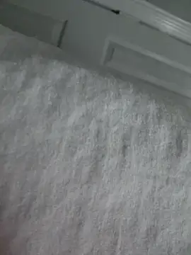 Show Webcam de Dick4dope
