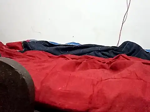 saraborgesn Webbikameraesitys