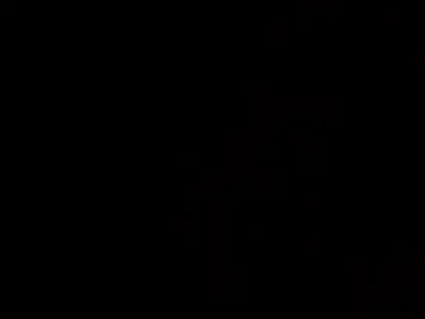 LEOMEGHA2026 Webcam-Show