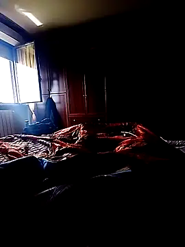 Porcopalestratocazzone21 Webcam show