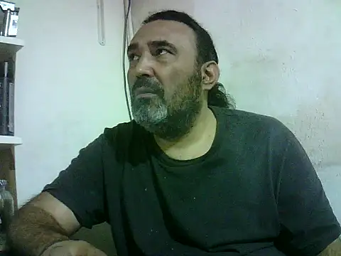 Show modela enginbasar na web-kameri