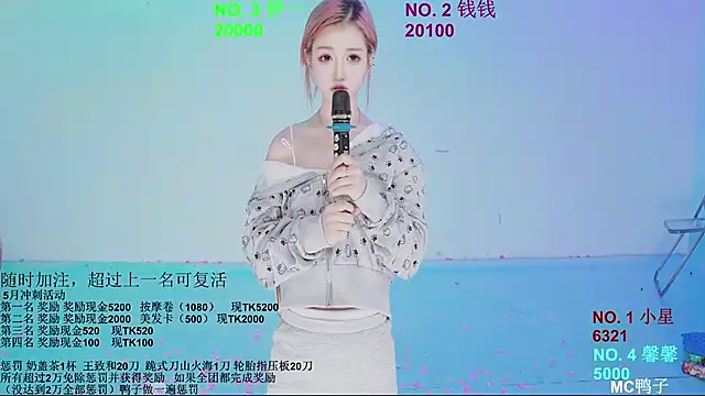 ZZ00033S Webcam-Show