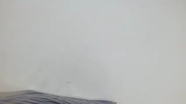 churcavagina40 Live XXX-Chat